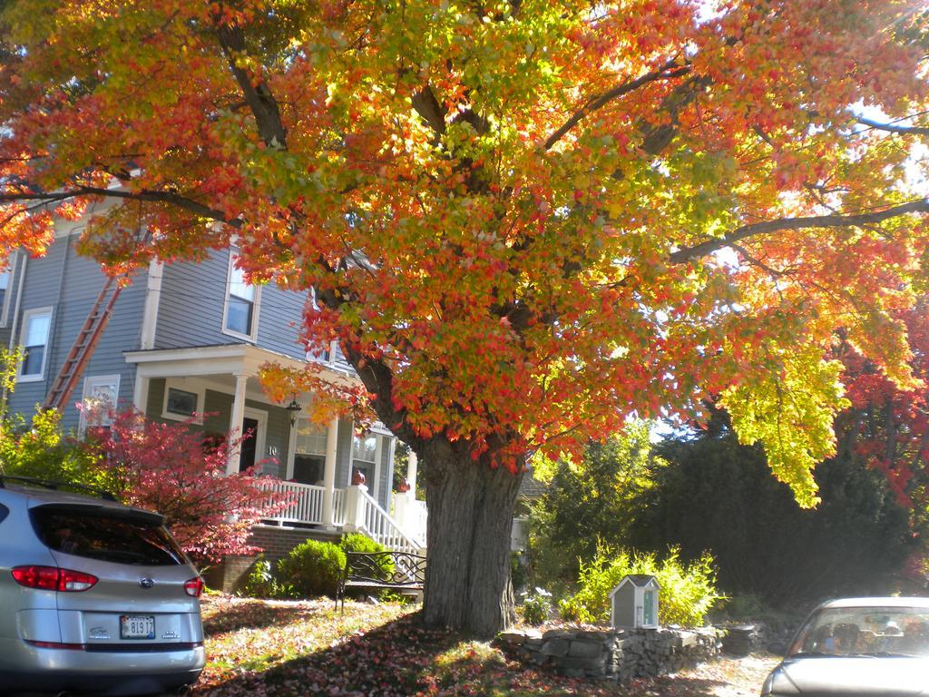 Fleetwood House Bed And Breakfast Portland Dış mekan fotoğraf